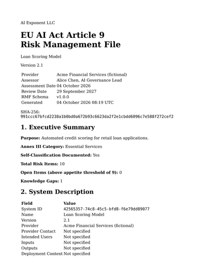 Risk Management File, first page, sample output